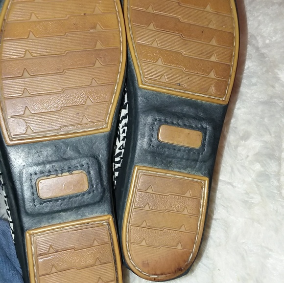 Laplume zebra slides Italy - Picture 5 of 6